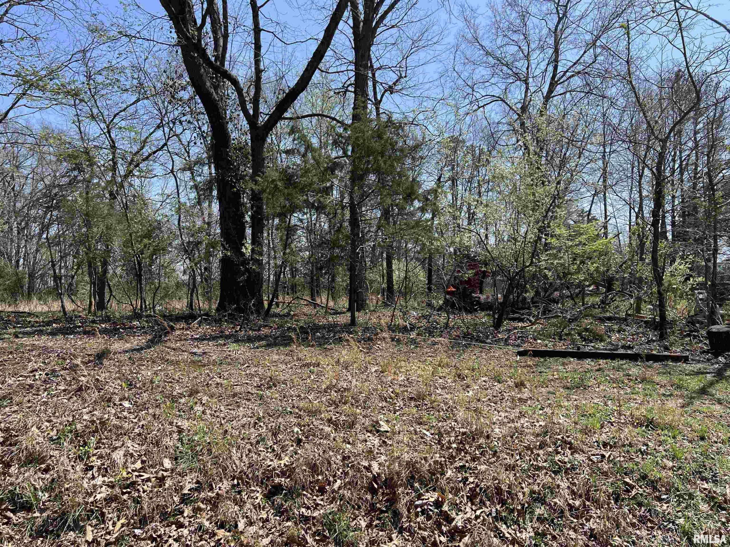 Lot 442 THOMPSON Drive  Goreville IL 62939