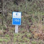 LOT 365&366 Clifty Lane  Goreville IL 62939