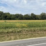 00 WELLS FERRY Road  Pleasant Valley IA 52767
