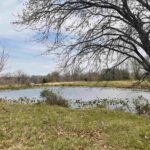 2305 US Hwy 51 S Loop  Anna IL 62906