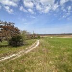 523 Spunky Ridge Road  Meredosia IL 62665