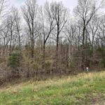 LOT 365&366 Clifty Lane  Goreville IL 62939