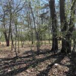 Lot 442 THOMPSON Drive  Goreville IL 62939
