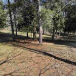 0 Northland Acres Street  Wataga IL 61488