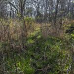 60 HARRIS Lane  Brookport IL 62910