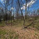 LOT 201 JAMES Street  Port Byron IL 61256