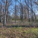 507 12TH Street  Sandoval IL 62882