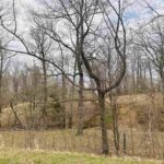 2305 US Hwy 51 S Loop  Anna IL 62906