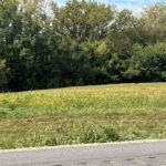 00 WELLS FERRY Road  Pleasant Valley IA 52767