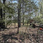 Lot 442 THOMPSON Drive  Goreville IL 62939