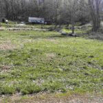 6271 TARTERS FERRY Road  Ipava IL 61441