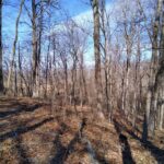 400 WALKER Drive  Vienna IL 62995