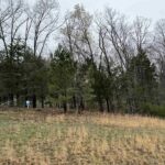 LOT 365&366 Clifty Lane  Goreville IL 62939