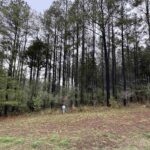 LOT 122&123 DEER Lane  Goreville IL 62939