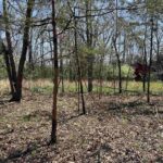 Lot 442 THOMPSON Drive  Goreville IL 62939