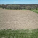 2210 Olof Krans Avenue  Galva IL 61434