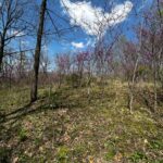 LOT 201 JAMES Street  Port Byron IL 61256
