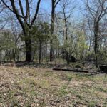 Lot 442 THOMPSON Drive  Goreville IL 62939