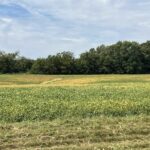 00 WELLS FERRY Road  Pleasant Valley IA 52767