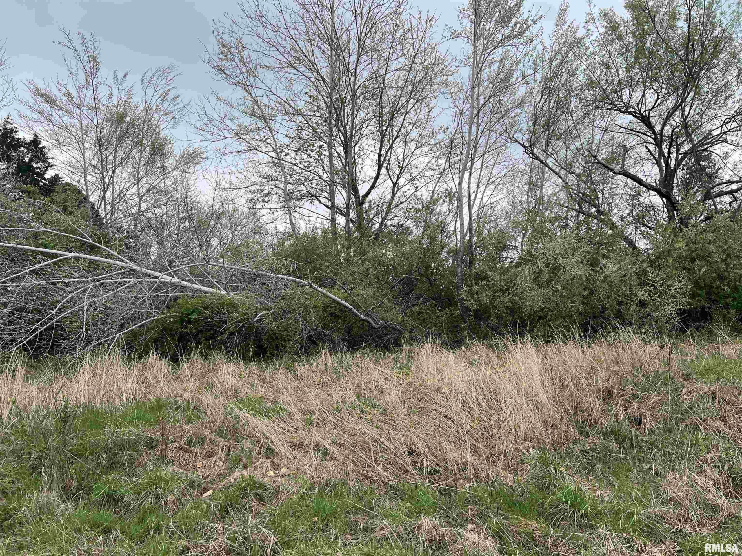 Lot 103 CHEROKEE Road  Goreville IL 62939