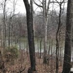 00 DEER RIDGE Road  Goreville IL 62939