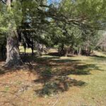 0 Northland Acres Street  Wataga IL 61488