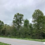 0000 Campbells Corner Road  McLeansboro IL 62859