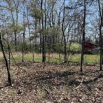 Lot 442 THOMPSON Drive  Goreville IL 62939
