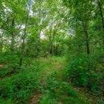 690 County Road NORTH County Road  Fairfield IL 62837