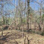 TBD JACKSON Street  Carterville IL 62918