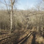 17217 Dairy Farm Road  Smithfield IL 61477