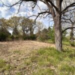 523 Spunky Ridge Road  Meredosia IL 62665
