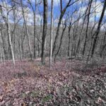 00 DEER RIDGE Road  Goreville IL 62939
