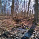 400 WALKER Drive  Vienna IL 62995