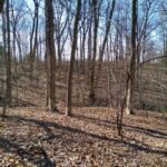 400 WALKER Drive  Vienna IL 62995