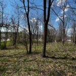 LOT 201 JAMES Street  Port Byron IL 61256