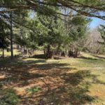 0 Northland Acres Street  Wataga IL 61488