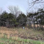 LOT 365&366 Clifty Lane  Goreville IL 62939