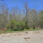 TBD JACKSON Street  Carterville IL 62918