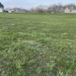105 Royal Point Court  Pekin IL 61554