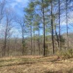 15 OAKWOOD Lane  Murphysboro IL 62966