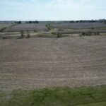 2769 Olof Krans Avenue  Galva IL 61434