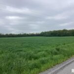 0 County Road 750 N   McLeansboro IL 62859