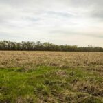 000 COUNTY ROAD 1000 N Road  McLeansboro IL 62859