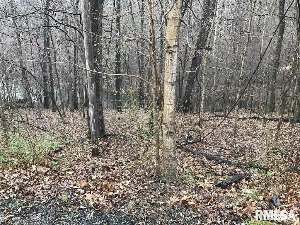 00 DEER RIDGE Road  Goreville IL 62939