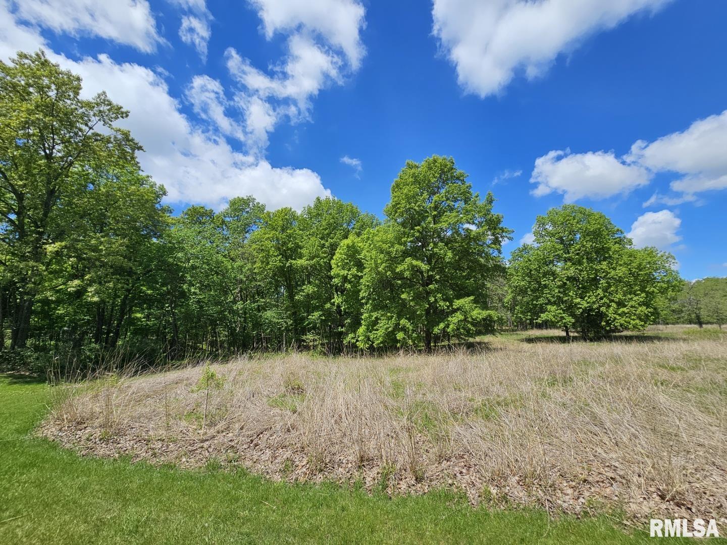 Lot 41 DEER PARK Drive  Dix IL 62830