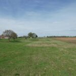 1404 DIAMOND Street  Jacksonville IL 62650