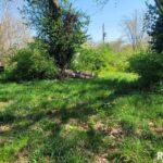 425 WASHINGTON Street  Dix IL 62830
