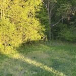 0 CHAMBERS Road  Smithfield IL 61477