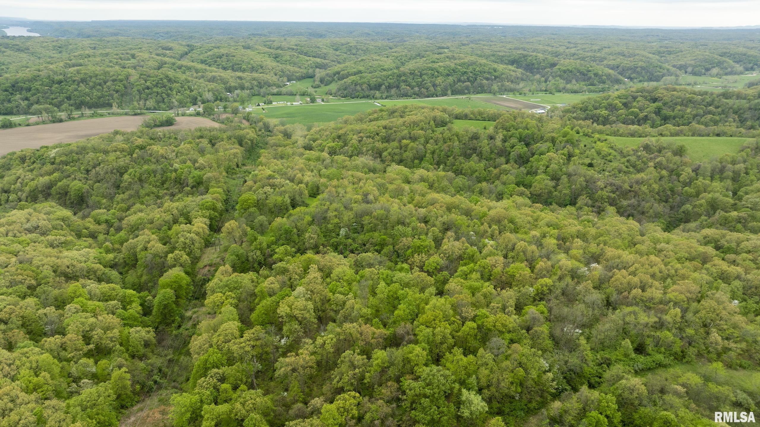 000 Bee Creek Road  Pearl IL 62361